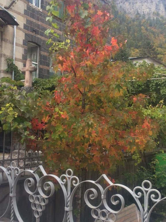 Old House Rustaveli Otel Borjomi Dış mekan fotoğraf